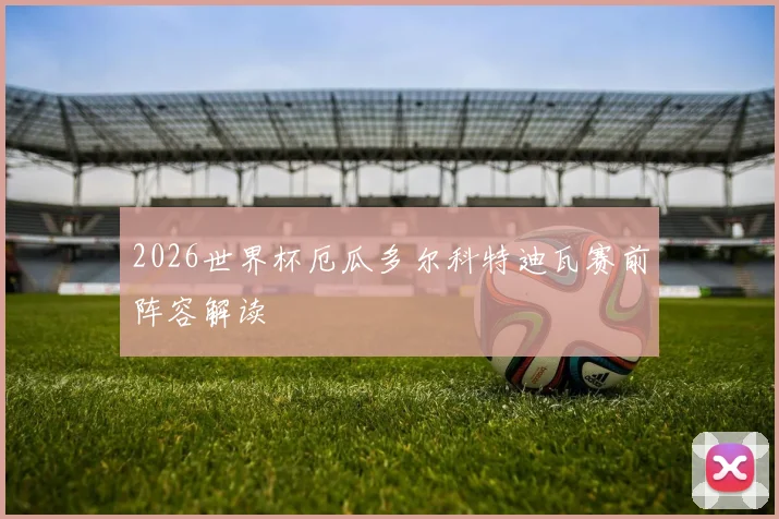 2026世界杯厄瓜多尔科特迪瓦赛前阵容解读