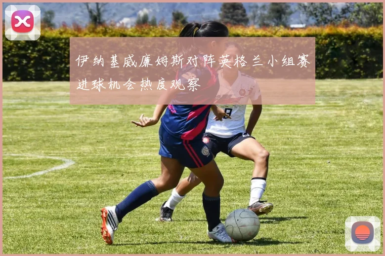 伊纳基威廉姆斯对阵英格兰小组赛进球机会热度观察