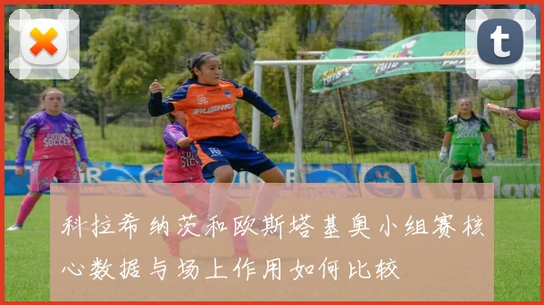 科拉希纳茨和欧斯塔基奥小组赛核心数据与场上作用如何比较