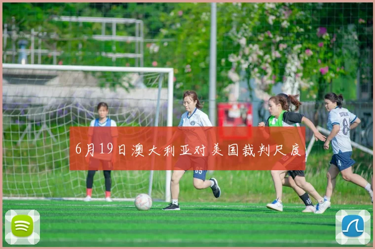 6月19日澳大利亚对美国裁判尺度